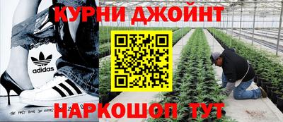 мдпв Краснодар