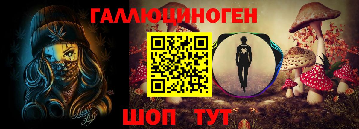 Каменск-Шахтинский  Псилоцибиновые грибы Magic Shrooms  продажа наркотиков  Псилоцибиновые грибы мухоморы  Вход с VPN 